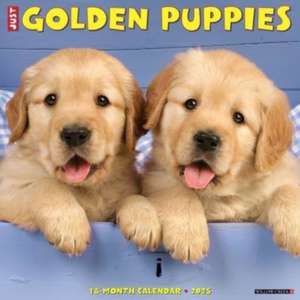 Just Golden Puppies 2025 12 X 12 Wall Calendar de Willow Creek Press