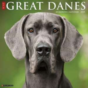 Just Great Danes 2025 12 X 12 Wall Calendar de Willow Creek Press