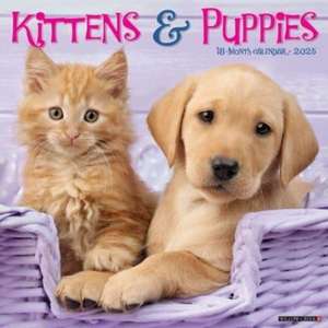 Kittens & Puppies 2025 12 X 12 Wall Calendar de Willow Creek Press