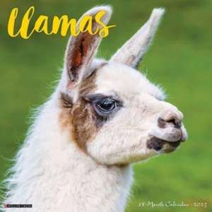 Llamas 2025 12 X 12 Wall Calendar de Willow Creek Press