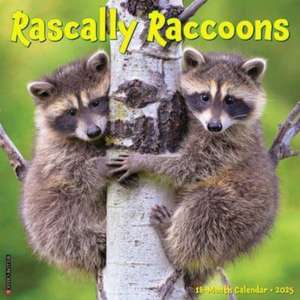 Rascally Raccoons 2025 12 X 12 Wall Calendar de Willow Creek Press