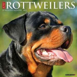 Just Rottweilers 2025 12 X 12 Wall Calendar de Willow Creek Press