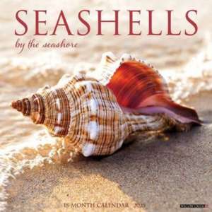 Seashells 2025 12 X 12 Wall Calendar de Willow Creek Press