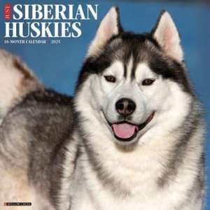 Just Siberian Huskies 2025 12 X 12 Wall Calendar de Willow Creek Press