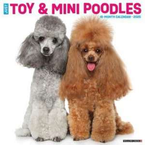 Just Toy & Miniature Poodles 2025 12 X 12 Wall Calendar de Willow Creek Press