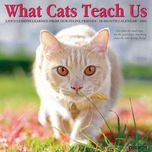 What Cats Teach Us 2025 12 X 12 Wall Calendar de Willow Creek Press