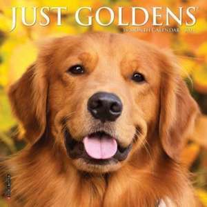 Just Goldens 2025 7 X 7 Mini Wall Calendar de Willow Creek Press