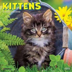 Kittens 2025 7 X 7 Mini Wall Calendar de Willow Creek Press