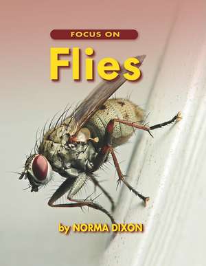 Focus on Flies de Norma Dixon