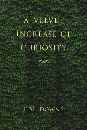 A Velvet Increase of Curiosity de Lise Downe