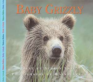 Baby Grizzly de Aubrey Lang