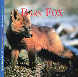 Baby Fox de Aubrey Lang