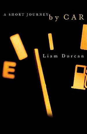 A Short Journey by Car de Liam Durcan