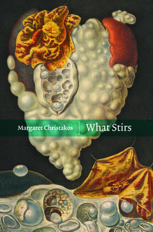 What Stirs de Margaret Christakos