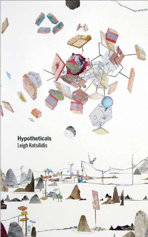 Hypotheticals de Leigh Kotsilidis