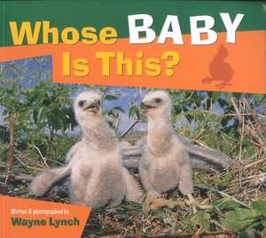 Whose Baby Is This? de Wayne Lynch