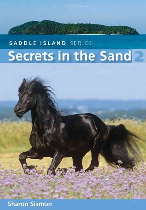 Secrets in the Sand de Sharon Siamon