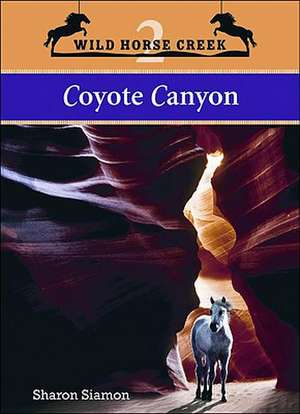 Coyote Canyon de Sharon Siamon