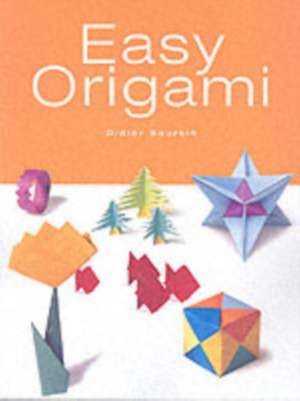 Easy Origami de Didier Boursin