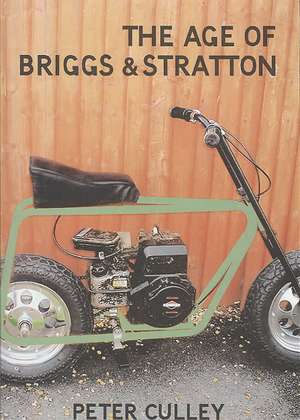 The Age of Briggs & Stratton de Peter Culley