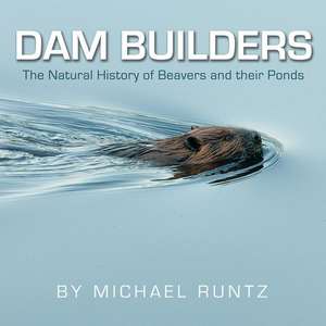 Dam Builders de Michael Runtz