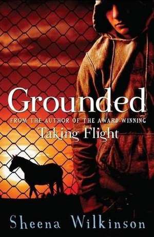 Grounded de Sheena Wilkinson