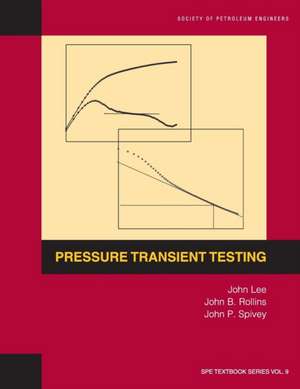 Pressure Transient Testing de John Lee