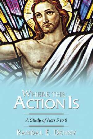 Where the Action Is: A Study of Acts 5 to 8 de Randal Earl Denny