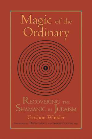 Magic of the Ordinary: Recovering the Shamanic in Judaism de Gershon Winkler