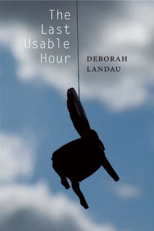 The Last Usable Hour de Deborah Landau