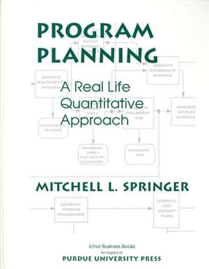 Program Planning: A Real Life Quantitative Approach de Mitchell L. Springer