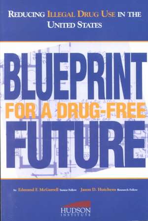 Reducing Illegal Drug Use in the United States: Blueprint for a Drug-Free Future de Edmund F. McGarrell