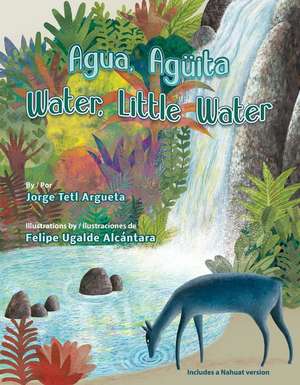 Agua, Aguita / Water, Little Water de Felipe Ugalde