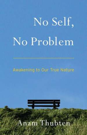 No Self, No Problem: Awakening to Our True Nature de Anam Thubten