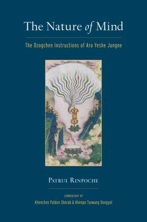 The Nature of Mind: The Dzogchen Instructions of Aro Yeshe Jungne de Khenchen Palden Sherab