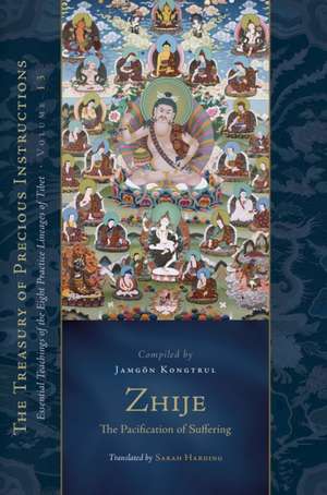 Zhije: The Pacification of Suffering: Essential Teachings of the Eight Practice Lineages of Tibet, Volume 13 (the Trea Sury of Precious Instructions) de Jamgon Kongtrul Lodro Taye