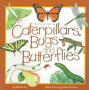 Caterpillars, Bugs and Butterflies de Mel Boring