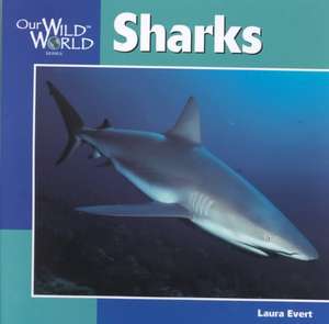 Sharks de Laura Evert