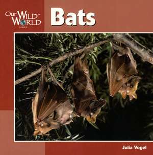 Bats de Julia Vogel