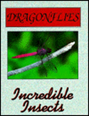 Dragonflies de James E. Gerholdt