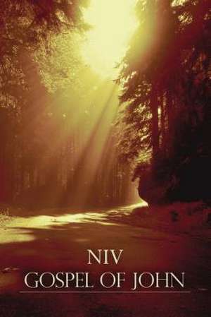 NIV Gospel of John