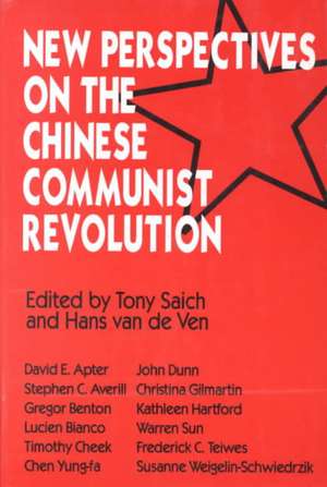 New Perspectives on the Chinese Revolution de Tony Saich