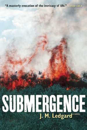 Submergence de J.M. Ledgard