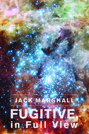 Fugitive, in Full View de Jack Marshall