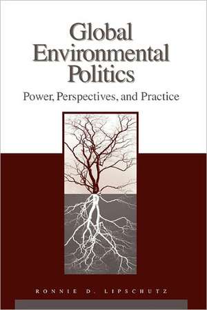 Global Environmental Politics: Power, Perspectives, and Practice de Ronnie D. Lipschutz