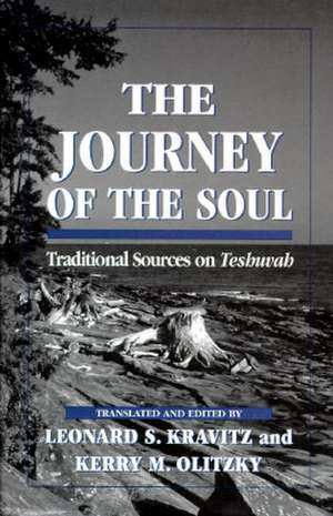 Journey of the Soul de Kerry M. Olitzky