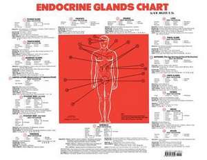 Endocrine Glands Chart de Norman Walker