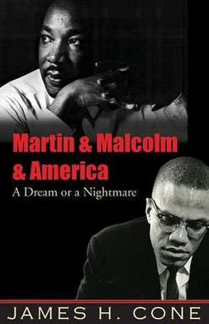 Martin & Malcolm & America: A Dream or a Nightmare de James H. Cone