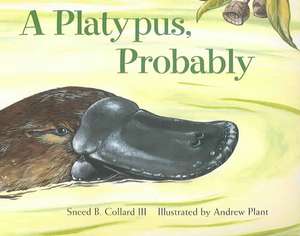 A Platypus, Probably de Sneed B. Collard