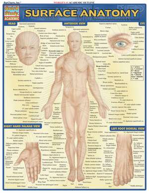 Surface Anatomy de BarCharts Inc